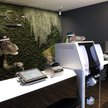 Dinozaury-roboty obsługują gości japońskiej sieci Henn na Hotel. Czy tak ma wyglądać ewolucja obsług
