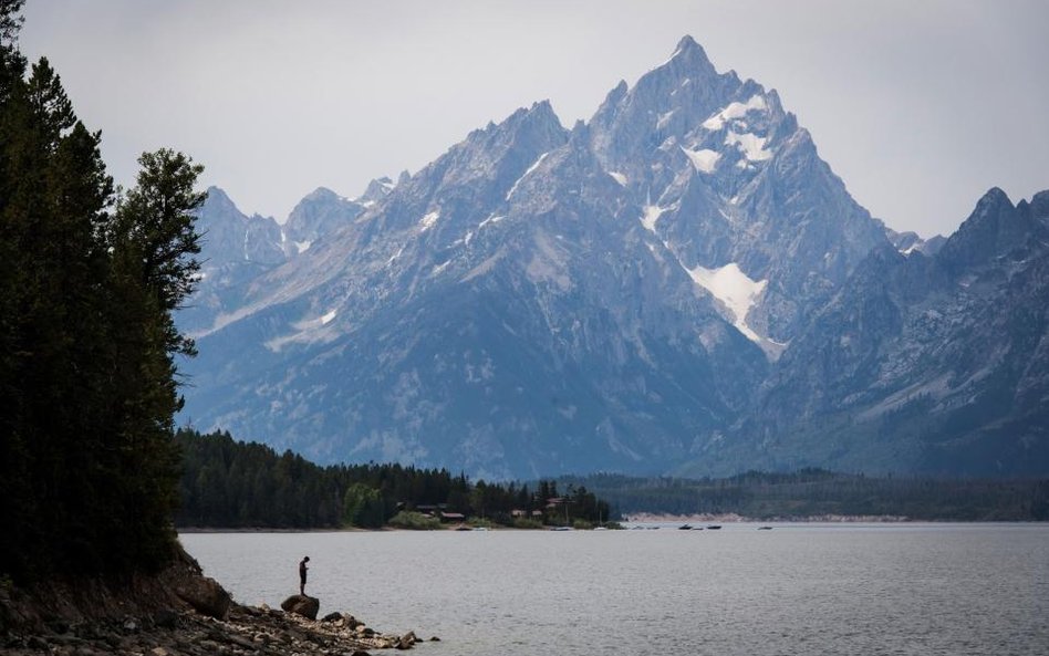 Oczekiwania przed Jackson Hole wyraźnie spadły