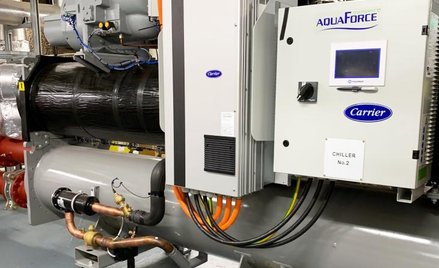 Niespodziewany lider zwyżek w S&P 500