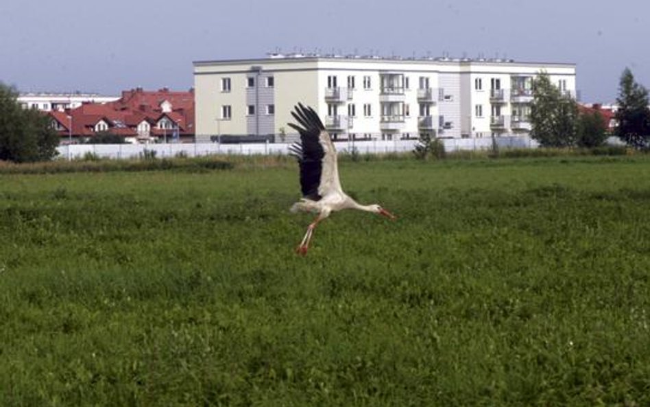 Brak planów przestrzennych spowodował, że łąki na warszawskiej Białołęce zostały w chaotyczny sposób