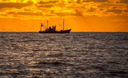 Rosja stara się "rozwiązać problem" statku zatrzymanego przez Koreę Płn.