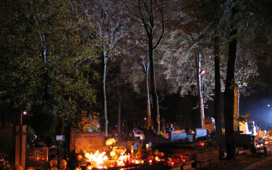 Stary Cmentarz w Łodzi. To tam sprofanowano jeden z grobów kładąc na nim świńskie łby.