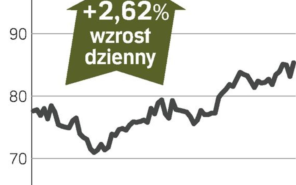 Skok rocznego zysku i dywidendy