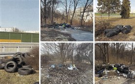 Szczególnie zagrożone są obszary położone w bezpośrednim sąsiedztwie trasy ekspresowej S8