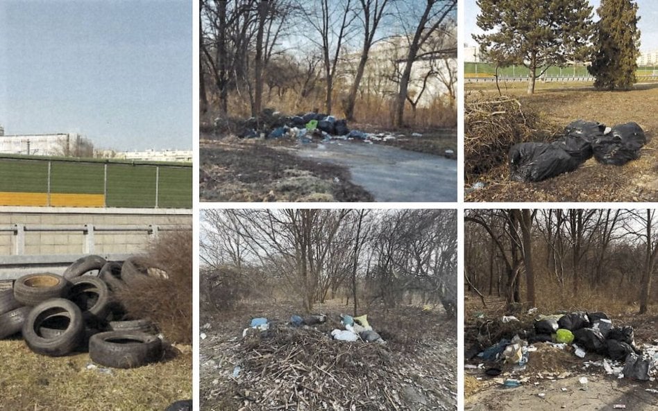 Szczególnie zagrożone są obszary położone w bezpośrednim sąsiedztwie trasy ekspresowej S8