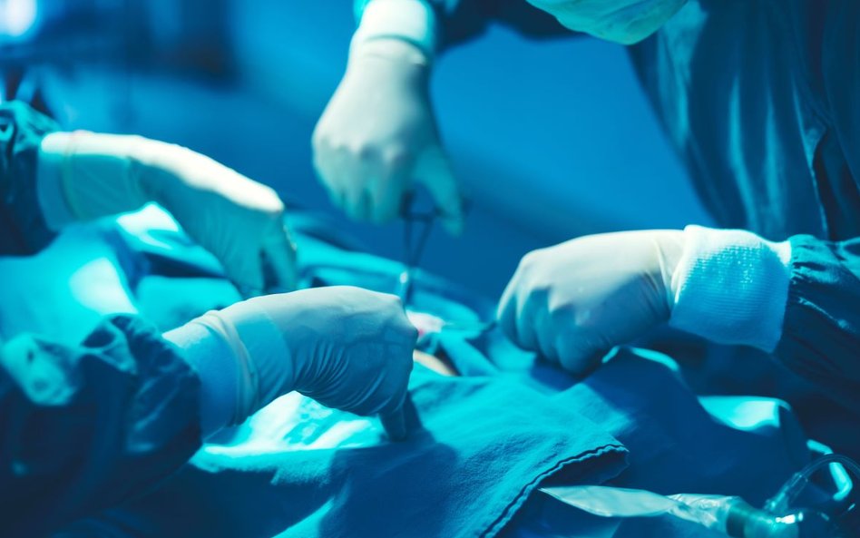 W 2025 roku specjaliści WUM przeszczepili 22 serca; 7 płuc; 428 wątrób, 240 nerek oraz 16 trzustek.