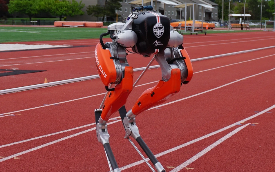 Sztuczna inteligencja będzie integrowana z robotyką, w efekcie będziemy w stanie komunikować się z m