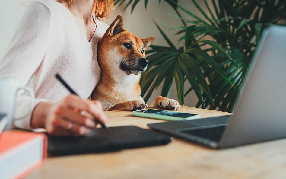 Pracownicy nie chcą rezygnować z pracy zdalnej