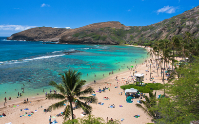 Najwyżej redaktorzy i podróżnicy ocenili podróż morska po Hawajach