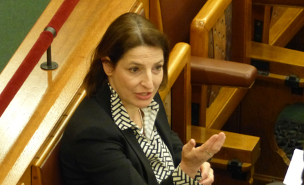 Zsuzsanna Szelényi: Nierówna walka z Fideszem