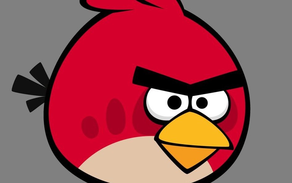 Finlandia: Bohater Angry Birds w radzie miasta