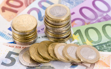 Przyszłość wspólnej europejskiej waluty będzie jednym z tematów katowickiego kongresu.