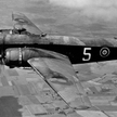 Bombowiec Vickers Wellington. Wrak maszyny tego typu znaleziono nieopodal holenderskiej wioski Nieuw