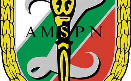 Nie wszyscy kibice utożsamiali się z AMSPN Hetman