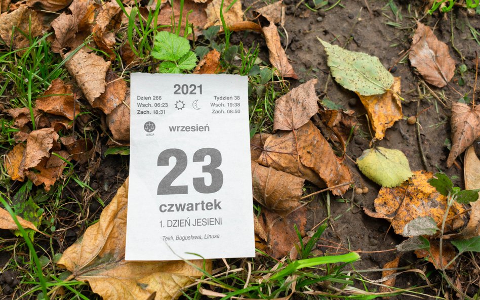 To jedno z najrzadszych imion, które występuje w Polsce. Jest bliskie zapomnenia
