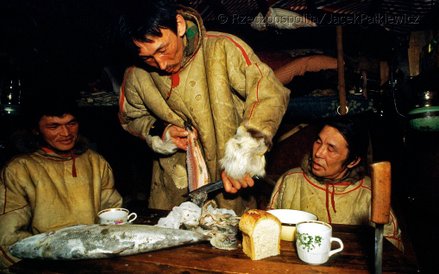 Stroganina, zakąska Czukczów