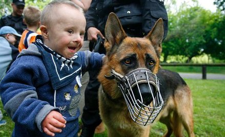 Rada gminy nie może nakazać wyprowadzania dużych psów w kagańcu