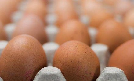 Ovostar. Znaczny spadek wolumenu sprzedaży