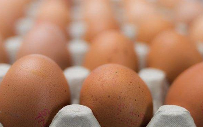 Ovostar sprzedaje coraz więcej jaj