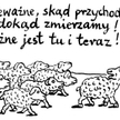 Andrzej Krauze: Komentarz rysunkowy