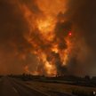 Od wtorku strażacy walczą w Portugalii z ponad 20 pożarami