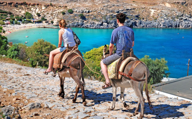 Grecja wprowadza ograniczenia w przejażdżkach turystów na osiołkach