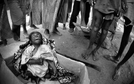 Ten osierocony, mały goryl sprzedawany był na targu mięsnym w Kamerunie. Kupiono go za bezwartościow