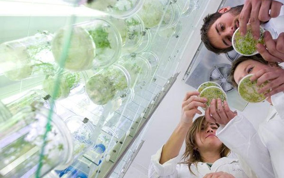 Przedsiębiorcy dostaną pieniądze na unowocześnianie produkcji