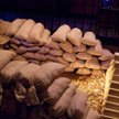 Portfele pełne ropy i metali