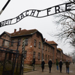 Szymon Topa, Lech Obara: Niech Niemcy nie decydują o krzywdzie byłych więźniów Auschwitz