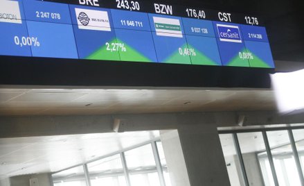 Byki nie dają za wygraną