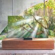 Samsung ma w ofercie dwie linie telewizorów 8K