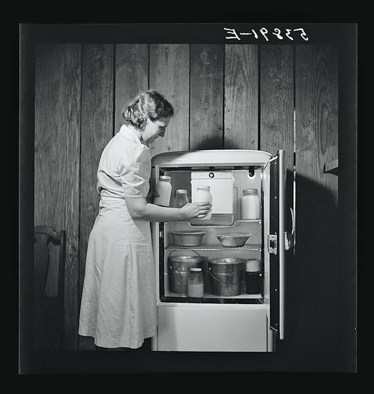 W latach 30. XX w. Midgley zaproponował wykorzystanie freonu w chłodziarkach. Na zdjęciu: gospodyni 