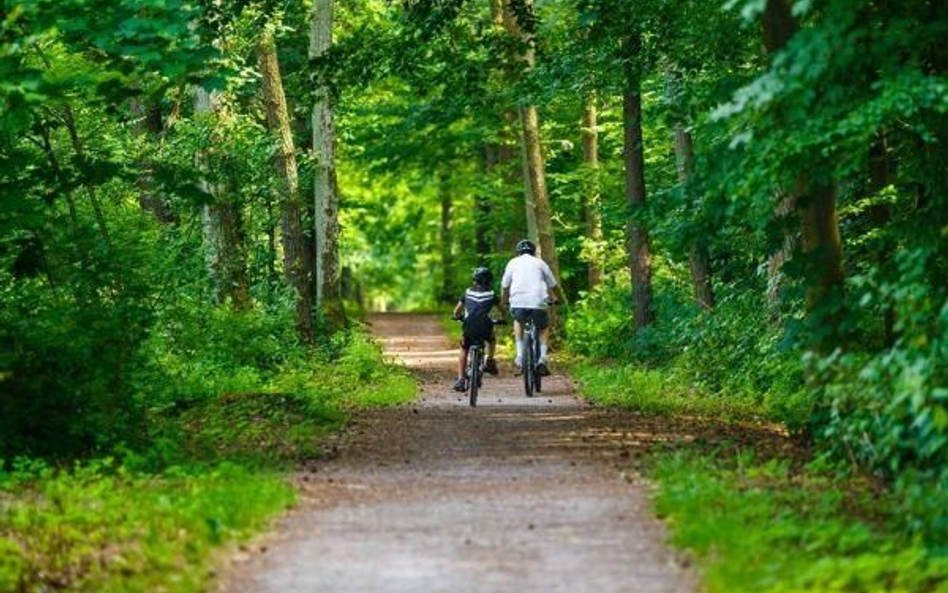Małopolska – 40 mln złotych na trasy rowerowe