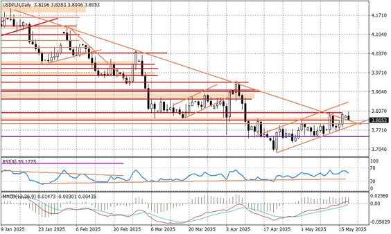 Wykres dzienny USDPLN