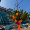 Brain Park już na swojej wysokości