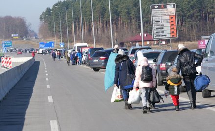 PZU, Warta i Hestia zapłacą za OC