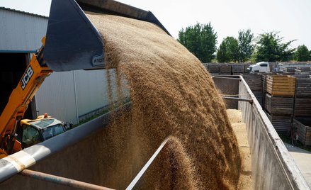 Zboże techniczne już dawno nie płynie z Ukrainy, ale śledztwo nadal trwa
