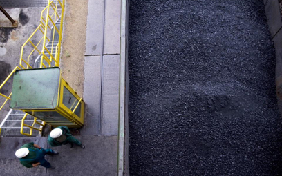 China Coal 17 marca kupił akcje Bumechu stanowiące 5,54 proc. w kapitale zakładowym spółki