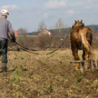 Najwyższa pora na podatek dochodowy w rolnictwie