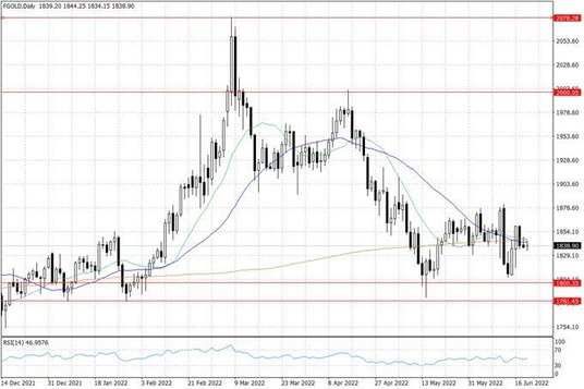 Notowania złota – dane dzienne