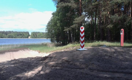 W lesie na pierwszym planie, za słupem, oraz w głębi zdjęcia, na prawo od pasa granicznego po drugie