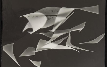 Andrzej Pawłowski, (1925-1986) Hipogryf, z cyklu: Heliogramy, 1956 wymiary:wys. 29,8 cm, szer. 39,9 