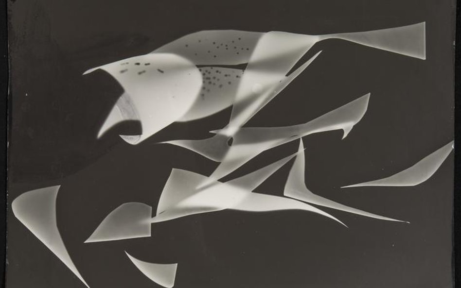 Andrzej Pawłowski, (1925-1986) Hipogryf, z cyklu: Heliogramy, 1956 wymiary:wys. 29,8 cm, szer. 39,9 