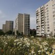 Mieszkania używane: spadają ceny