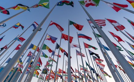 W kontrze do byłej ekipy od ośmiu lat dyplomacja odnotowuje wiele sukcesów – twierdzi Witold Waszczy