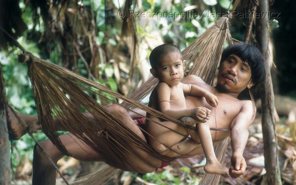 Małżeństwa zawierane są między mieszkańcami pobliskich szapono.