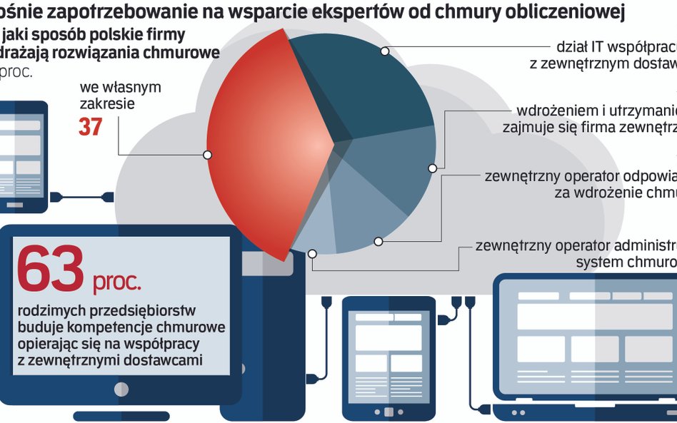 Firmy szukają wsparcia ekspertów od chmury