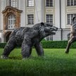 Niedźwiedzie, czyli spółki z negatywnymi sygnałami analizy technicznej