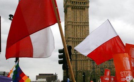 Nawet milion nielegalnych imigrantów żyje na Wyspach